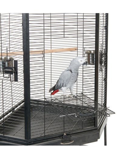 Liberta Alaska Corner Parrot Cage with Playgym Top